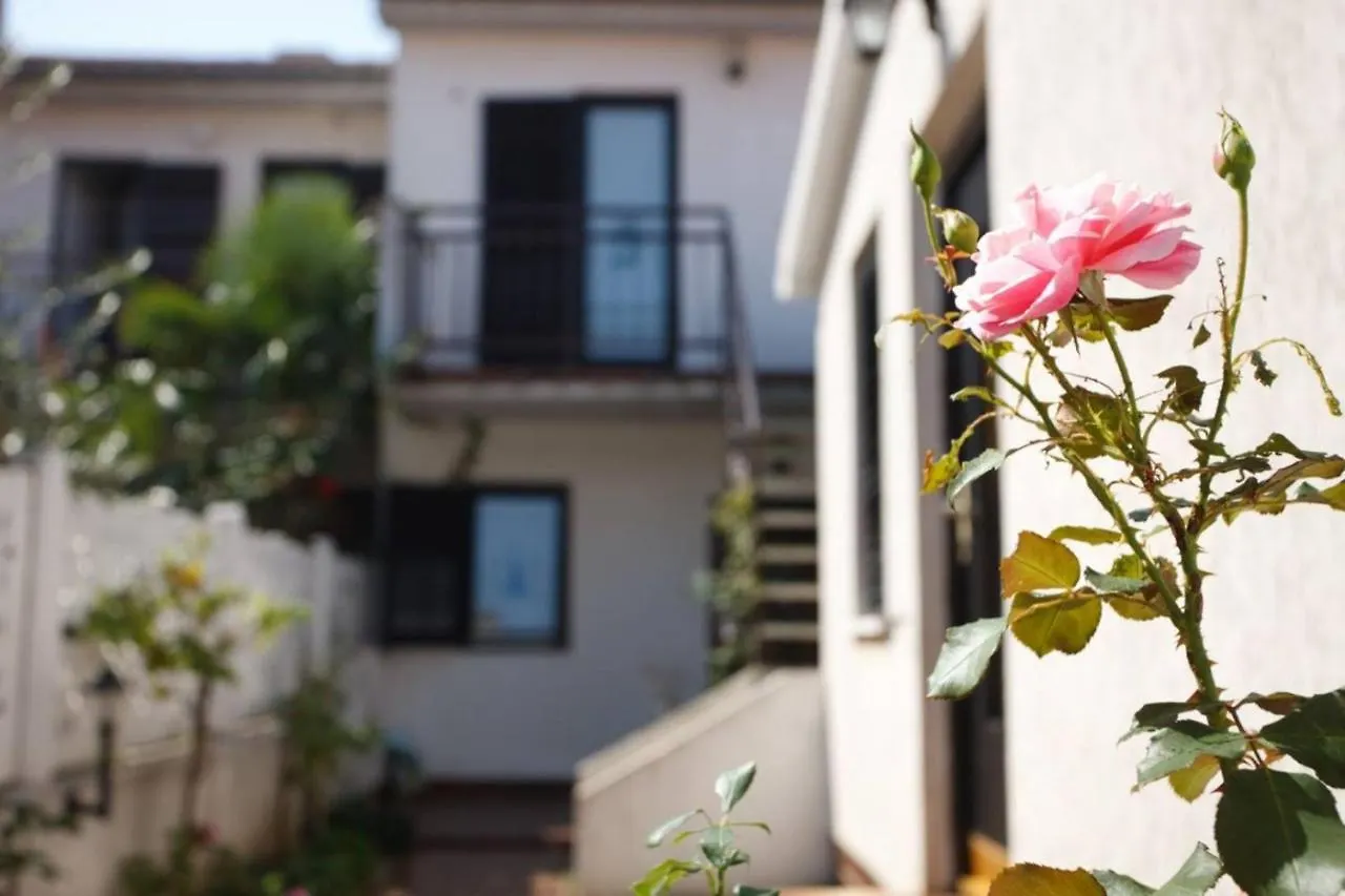 Apartments Porec Beach Area Simo