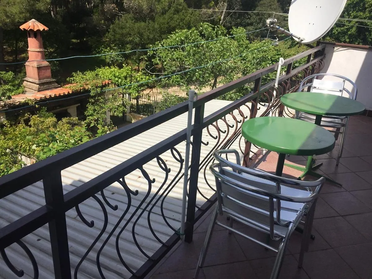 Apartments Porec Beach Area Simo Croatia
